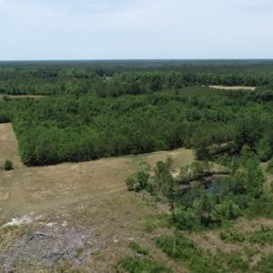 Photo #26 of SOLD property in Off Rosindale Road, Council, NC 32.7 acres
