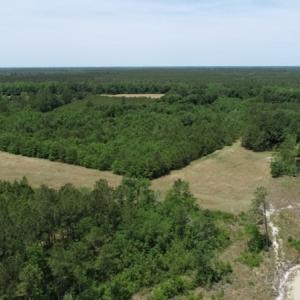 Photo #27 of SOLD property in Off Rosindale Road, Council, NC 32.7 acres