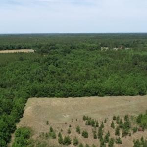 Photo #28 of SOLD property in Off Rosindale Road, Council, NC 32.7 acres
