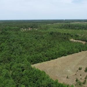 Photo #29 of SOLD property in Off Rosindale Road, Council, NC 32.7 acres