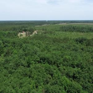 Photo #30 of SOLD property in Off Rosindale Road, Council, NC 32.7 acres