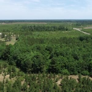 Photo #31 of SOLD property in Off Rosindale Road, Council, NC 32.7 acres