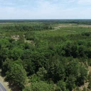 Photo #32 of SOLD property in Off Rosindale Road, Council, NC 32.7 acres