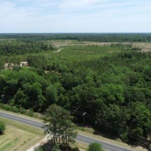 Photo #33 of SOLD property in Off Rosindale Road, Council, NC 32.7 acres