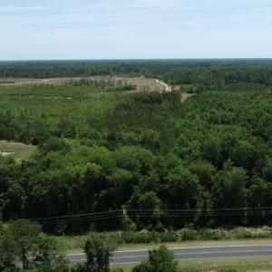Photo #34 of SOLD property in Off Rosindale Road, Council, NC 32.7 acres