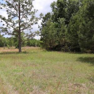 Photo #9 of SOLD property in Off Rosindale Road, Council, NC 32.7 acres