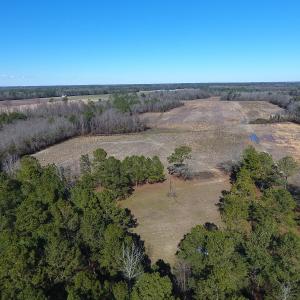 Photo #2 of SOLD property in Mill Branch Rd, Fairmont, NC 107.5 acres