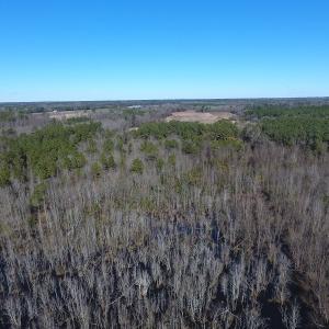 Photo #11 of SOLD property in Mill Branch Rd, Fairmont, NC 107.5 acres