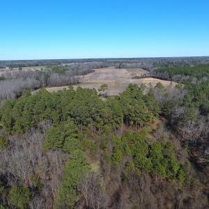 Photo #12 of SOLD property in Mill Branch Rd, Fairmont, NC 107.5 acres