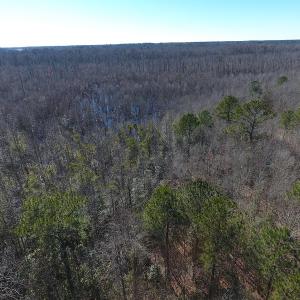 Photo #13 of SOLD property in Mill Branch Rd, Fairmont, NC 107.5 acres