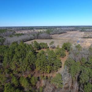 Photo #14 of SOLD property in Mill Branch Rd, Fairmont, NC 107.5 acres