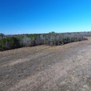 Photo #15 of SOLD property in Mill Branch Rd, Fairmont, NC 107.5 acres
