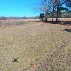 Photo #17 of SOLD property in Mill Branch Rd, Fairmont, NC 107.5 acres