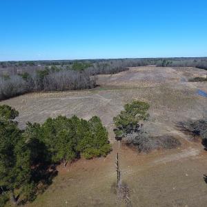 Photo #3 of SOLD property in Mill Branch Rd, Fairmont, NC 107.5 acres