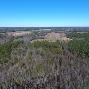 Photo #4 of SOLD property in Mill Branch Rd, Fairmont, NC 107.5 acres