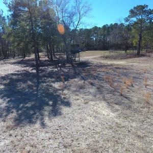 Photo #5 of SOLD property in Mill Branch Rd, Fairmont, NC 107.5 acres