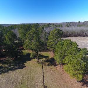 Photo #6 of SOLD property in Mill Branch Rd, Fairmont, NC 107.5 acres
