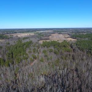 Photo #7 of SOLD property in Mill Branch Rd, Fairmont, NC 107.5 acres