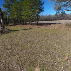 Photo #8 of SOLD property in Mill Branch Rd, Fairmont, NC 107.5 acres