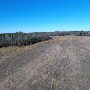 Photo #9 of SOLD property in Mill Branch Rd, Fairmont, NC 107.5 acres