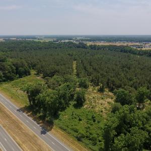 Photo #13 of Off Highway 70, La Grange, NC 66.6 acres