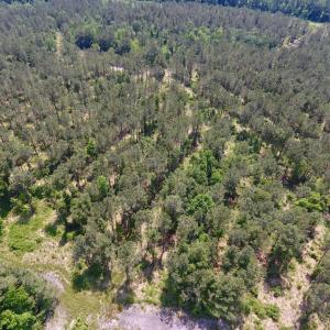 Photo #16 of Off Highway 70, La Grange, NC 66.6 acres