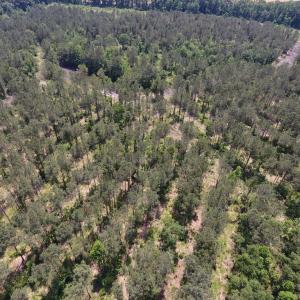 Photo #17 of Off Highway 70, La Grange, NC 66.6 acres