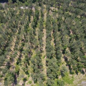 Photo #18 of Off Highway 70, La Grange, NC 66.6 acres