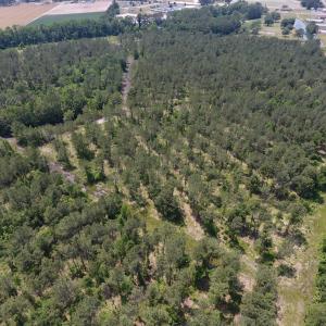 Photo #19 of Off Highway 70, La Grange, NC 66.6 acres