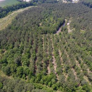 Photo #21 of Off Highway 70, La Grange, NC 66.6 acres