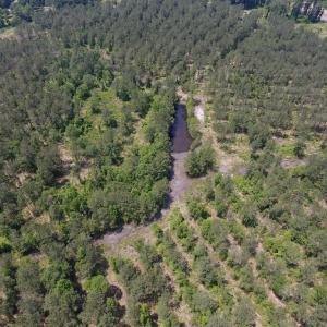 Photo #22 of Off Highway 70, La Grange, NC 66.6 acres
