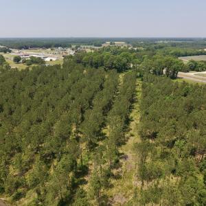 Photo #24 of Off Highway 70, La Grange, NC 66.6 acres