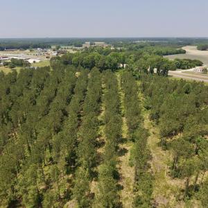 Photo #25 of Off Highway 70, La Grange, NC 66.6 acres