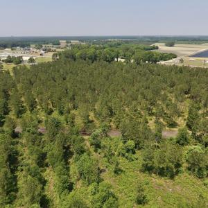 Photo #26 of Off Highway 70, La Grange, NC 66.6 acres