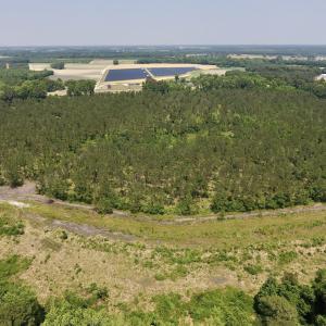 Photo #30 of Off Highway 70, La Grange, NC 66.6 acres