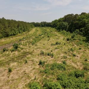 Photo #33 of Off Highway 70, La Grange, NC 66.6 acres