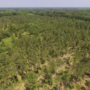 Photo #35 of Off Highway 70, La Grange, NC 66.6 acres