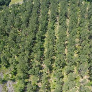 Photo #37 of Off Highway 70, La Grange, NC 66.6 acres