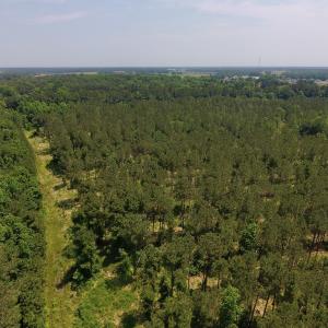 Photo #38 of Off Highway 70, La Grange, NC 66.6 acres
