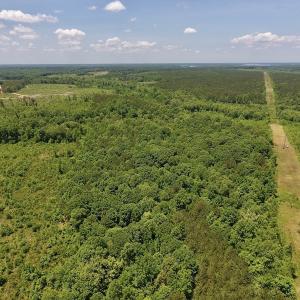 Photo #8 of SOLD property in Off Burchette Road, Manson, NC 19.2 acres