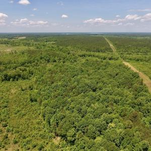 Photo #9 of SOLD property in Off Burchette Road, Manson, NC 19.2 acres