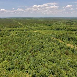 Photo #10 of SOLD property in Off Burchette Road, Manson, NC 19.2 acres
