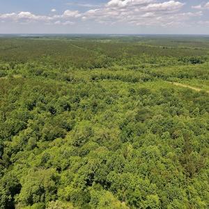Photo #11 of SOLD property in Off Burchette Road, Manson, NC 19.2 acres