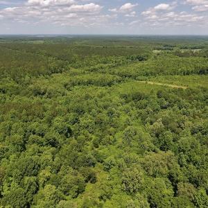 Photo #12 of SOLD property in Off Burchette Road, Manson, NC 19.2 acres