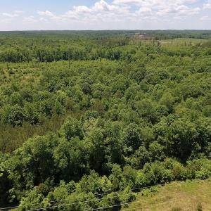 Photo #13 of SOLD property in Off Burchette Road, Manson, NC 19.2 acres