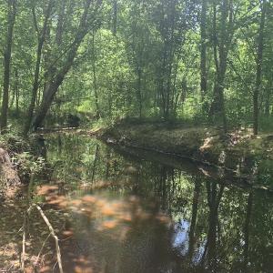 Photo #22 of SOLD property in Off Burchette Road, Manson, NC 19.2 acres