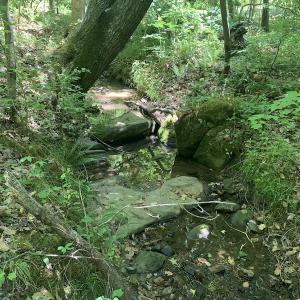 Photo #24 of SOLD property in Off Burchette Road, Manson, NC 19.2 acres