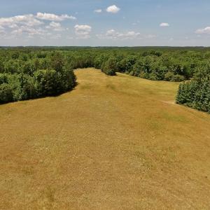 Photo #5 of SOLD property in Off Burchette Road, Manson, NC 19.2 acres