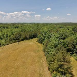 Photo #6 of SOLD property in Off Burchette Road, Manson, NC 19.2 acres