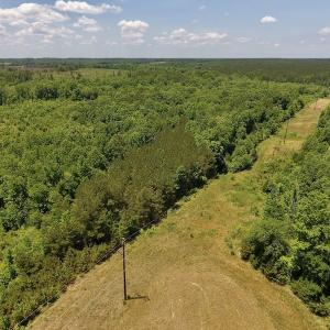 Photo #7 of SOLD property in Off Burchette Road, Manson, NC 19.2 acres